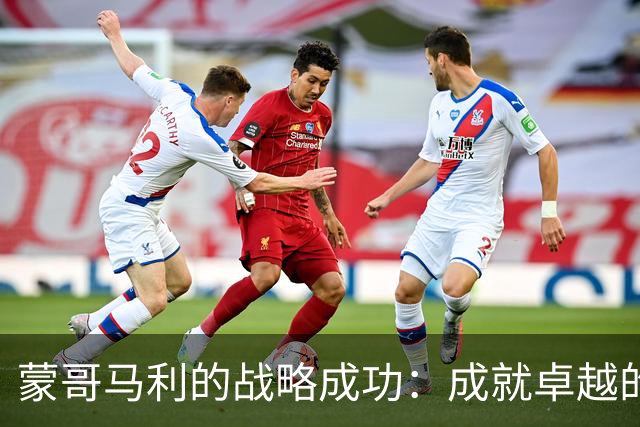蒙哥马利的战略成功：成就卓越的教练之路